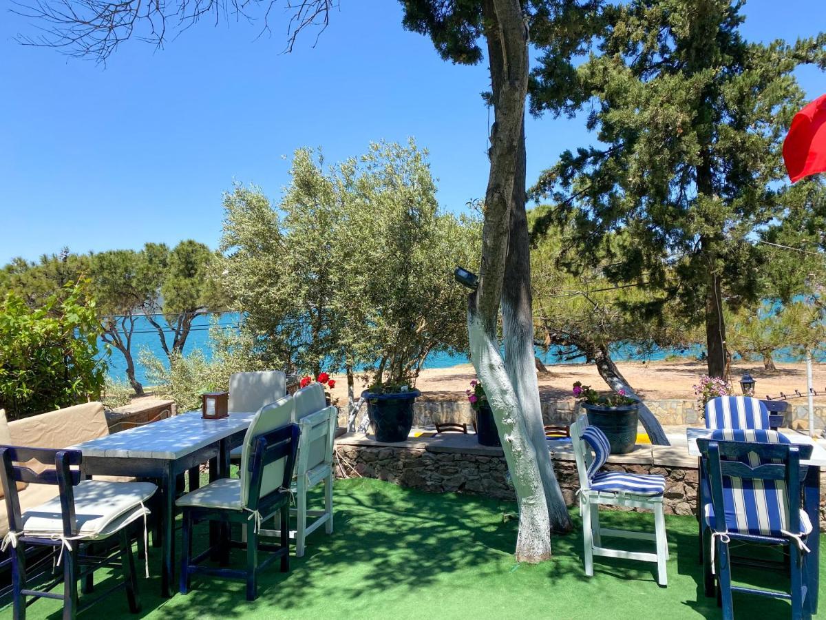 Lacivert Hotel Ayvalı Eksteriør bilde
