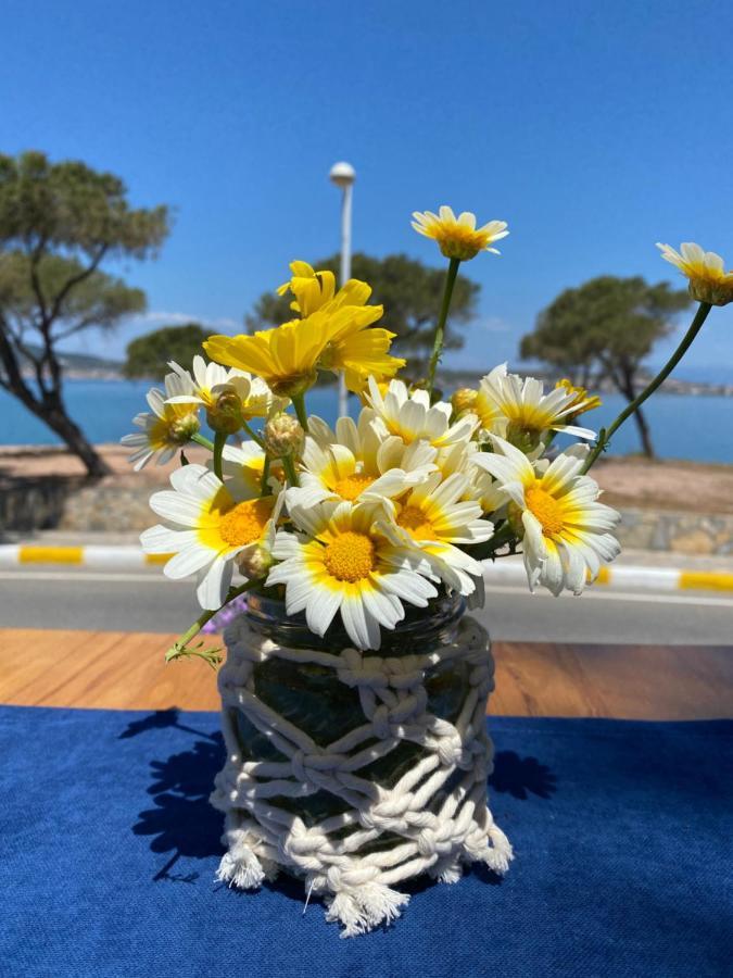 Lacivert Hotel Ayvalı Eksteriør bilde