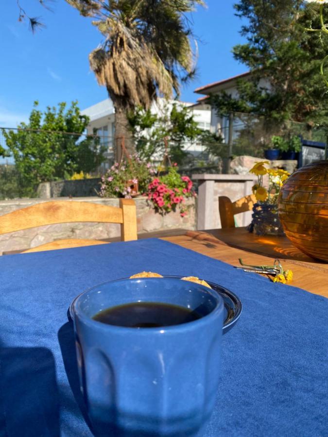 Lacivert Hotel Ayvalı Eksteriør bilde
